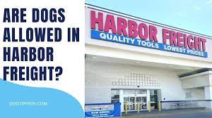 Is Harbor Freight Pet-Friendly